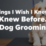 Things I Wish I Knew Before Dog Grooming