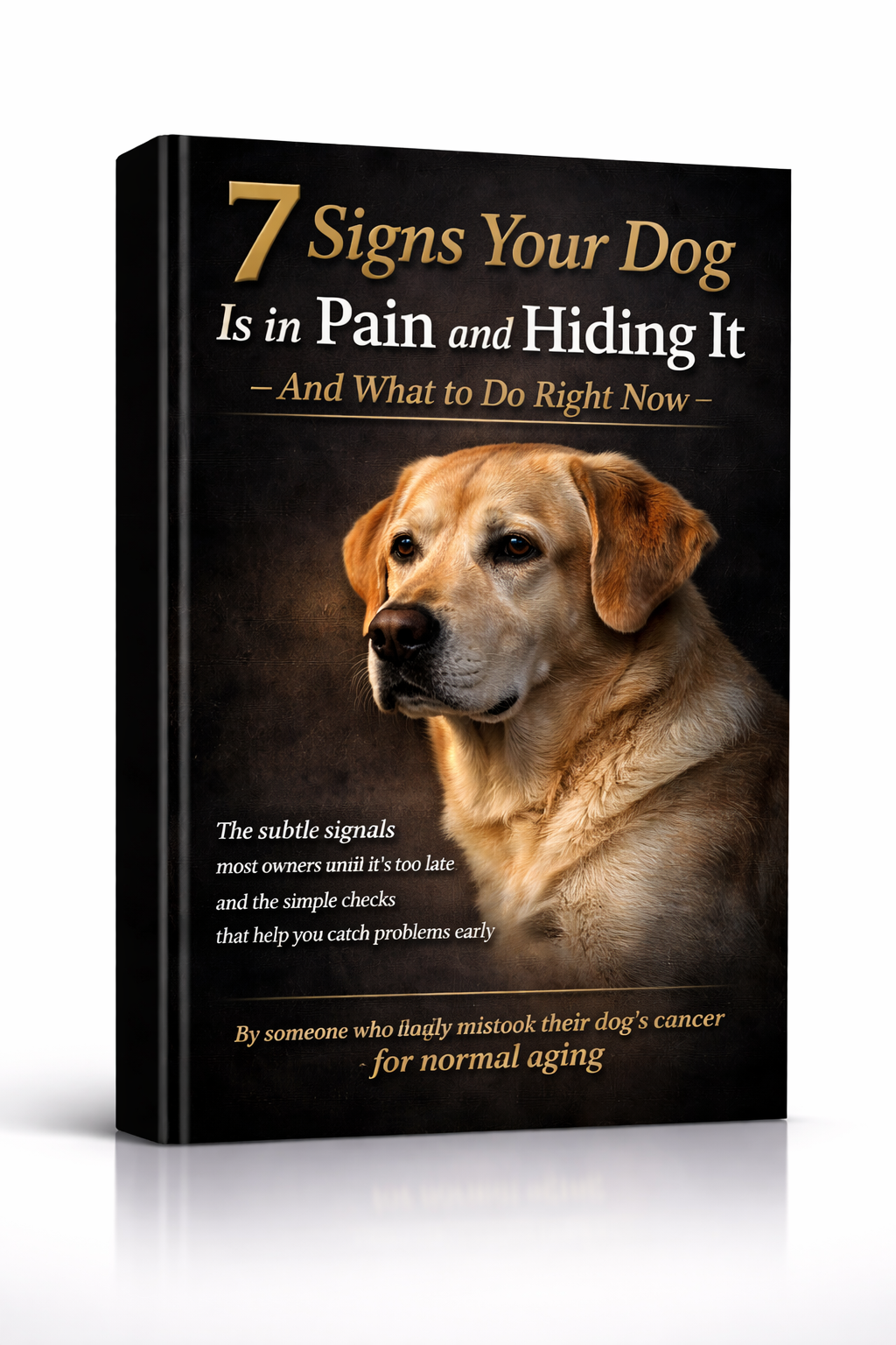 7 Signs Your Dog Is in Pain — dog pain recognition guide