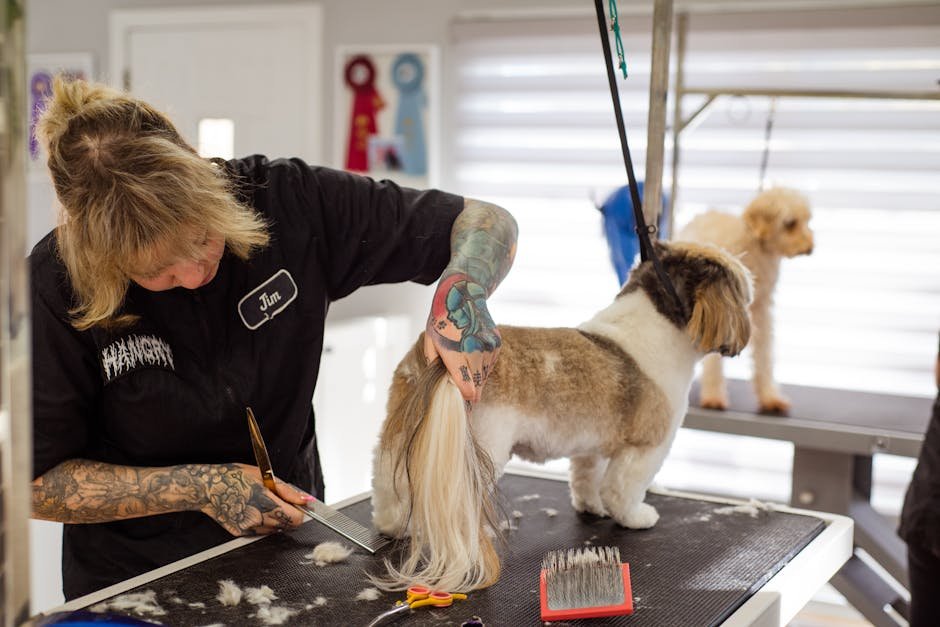 dog grooming bristol — Dog Grooming Bristol: Services, Costs & Tips