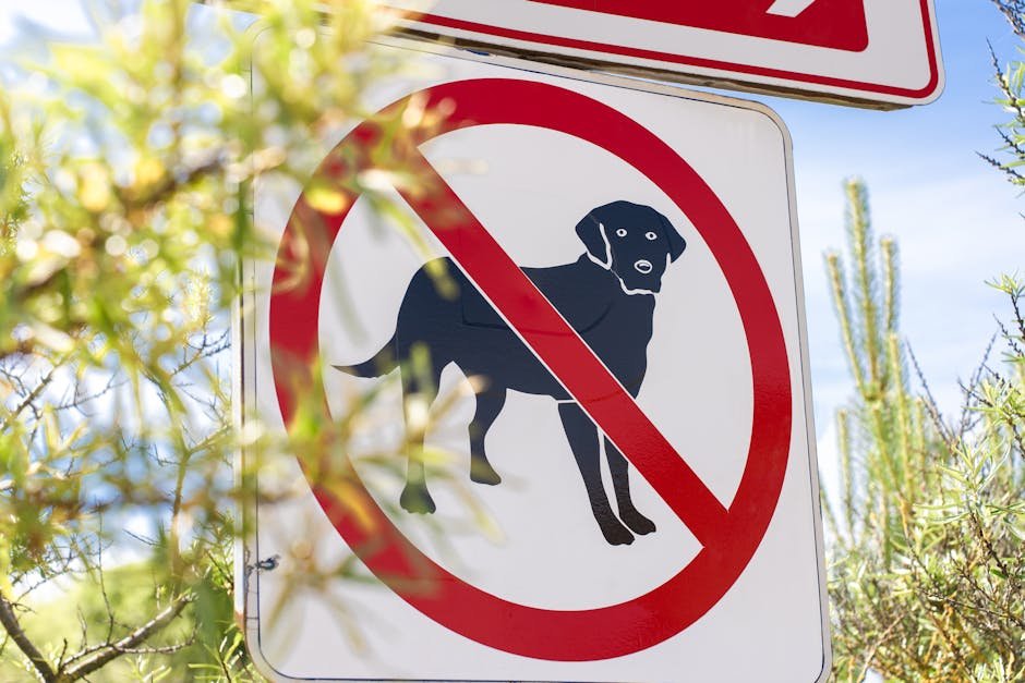 dog park etiquette uk — Dog Park Etiquette Uk: Essential Rules for Owners