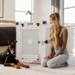 Dog Travel Crate Uk: Essential Information