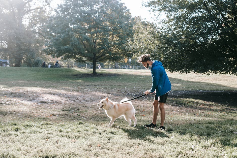 free dog park uk — Free Dog Park Uk: Where to Find Free Play