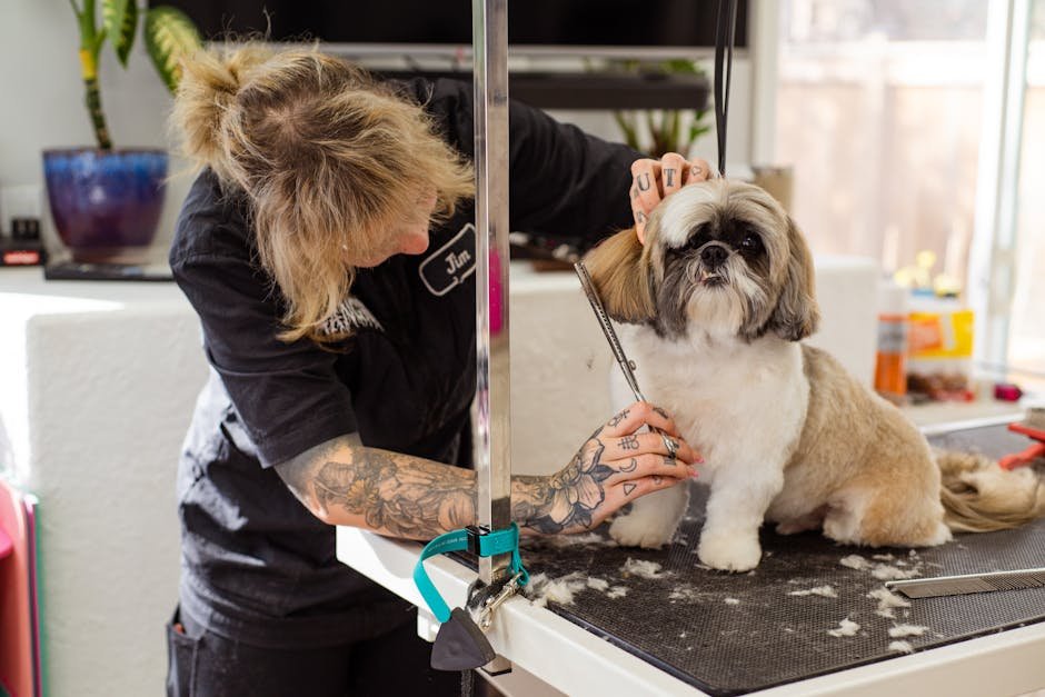 mobile dog groomer uk — Mobile Dog Groomer Uk: Costs, Services & Tips